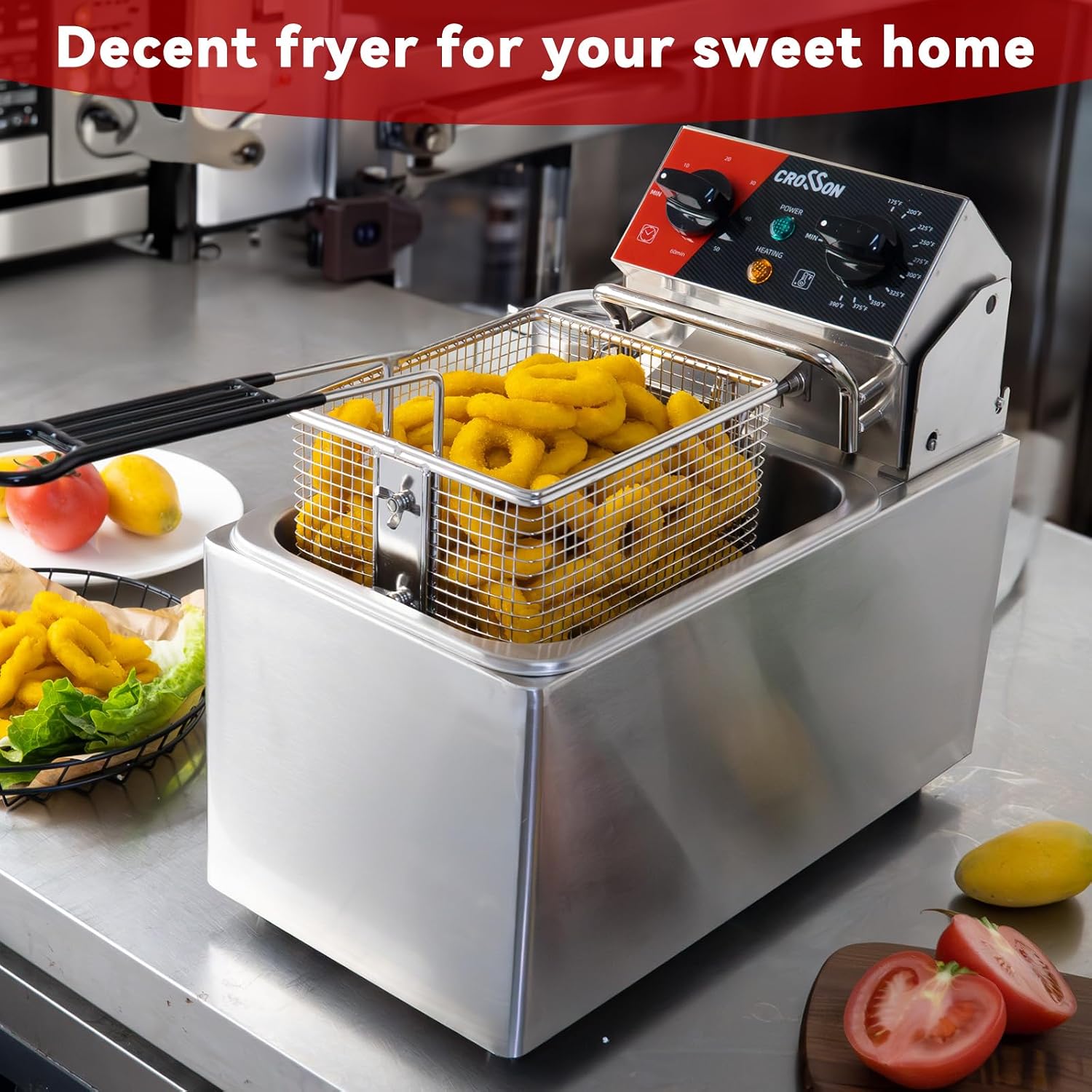 ^10Lbs Electric Countertop Dee - Countertop Deep Fryer With Timer review and price