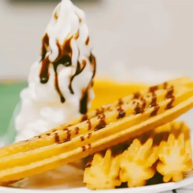 30L Electric Churro Machine Pr - Electric Churro Maker Machine review and price